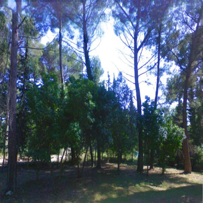 Offres de vente Terrain (06560)